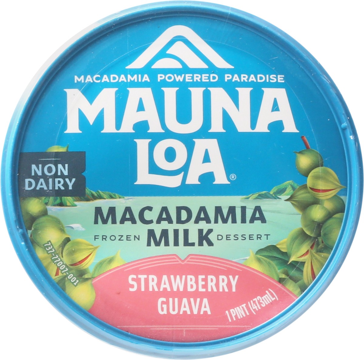 Mauna Loa Strawberry Guava Macadamia Milk Frozen Dessert 1 Pt 1 Pint