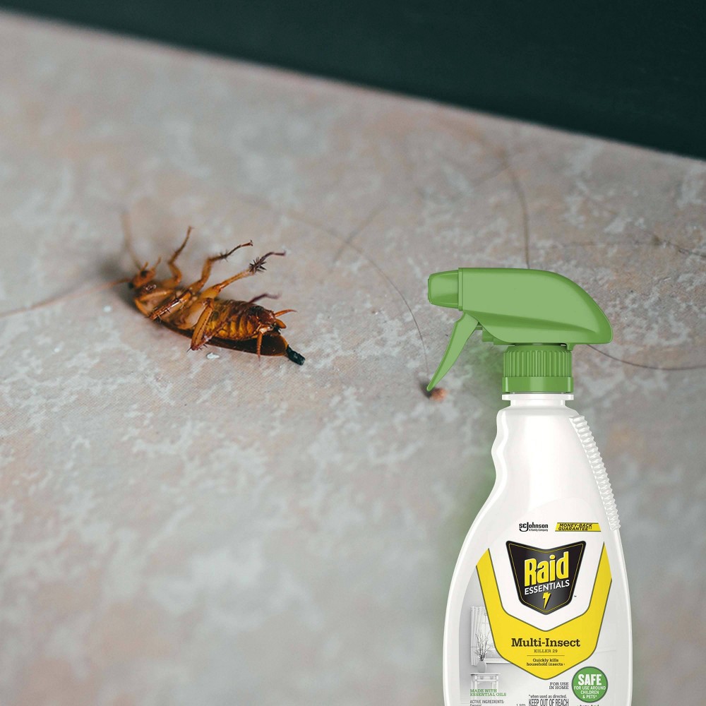 Raid Essentials Multi Insect Killer Trigger Bottle Oz Off