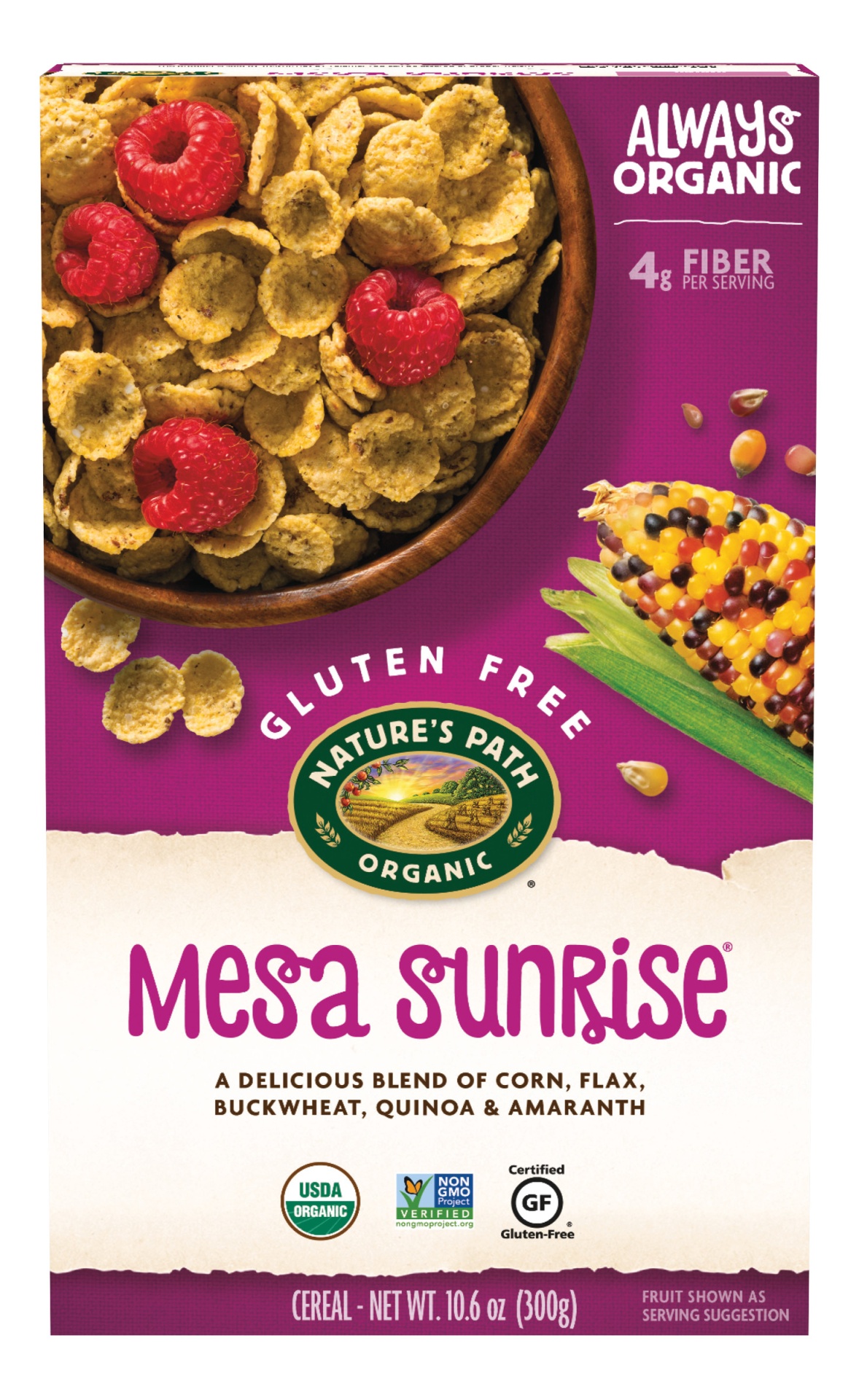 Nature S Path Organic Mesa Sunrise Cereal 10 6 Oz Shipt