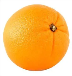 Sunkist Orange / Large