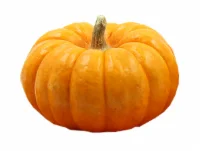 Fresh Grown Fairytale Pumpkin - Each