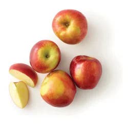 Large Cosmic Crisp® Apple – Each