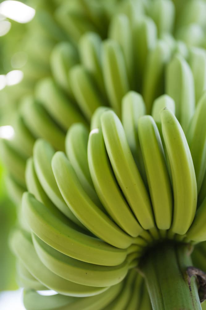 slide 5 of 6, Fresh Bunch of Bananas – 5-7 Bananas, 1 ct