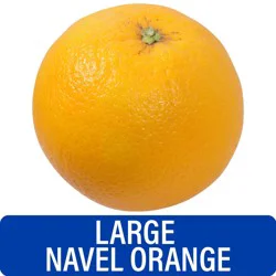 Large Navel Orange