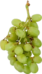Green White Seedless Grapes
