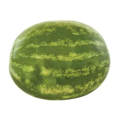 Seedless Whole Watermelon