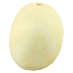 Honeydew Melon