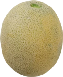 Cantaloupe