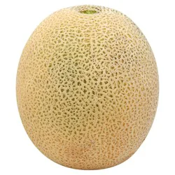 Cantaloupe