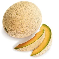 Cantaloupe