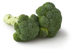 Produce Broccoli 1 ea