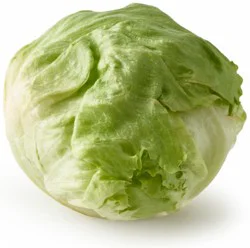 Wrapped Iceberg Lettuce