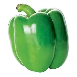 Large Green Bell Pepper