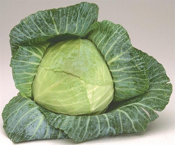 slide 1 of 2, Green Cabbage, 1 ct