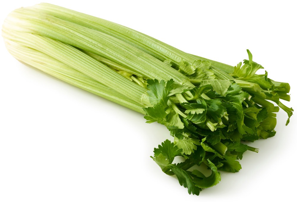 slide 1 of 1, Celery, 1 ct