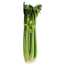 Sleeved Celery