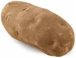 Russet Baking Potato