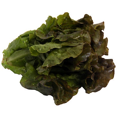 slide 1 of 1, Red Leaf Lettuce, 1 ct