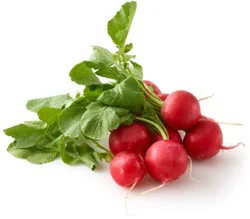 Green Top Radishes