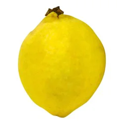 Guava