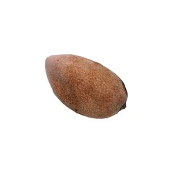 Mamey Sapote, 1 ct