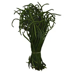 Chinese Long Bean Per Pound