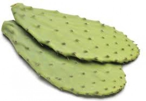slide 1 of 1, Cactus Leaves, per lb