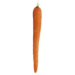 Produce Bulk Fresh Carrots