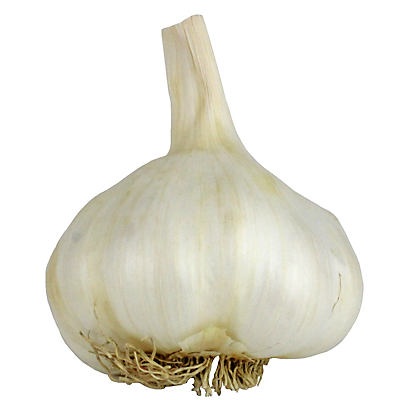 slide 1 of 1, Garlic, 1 ct