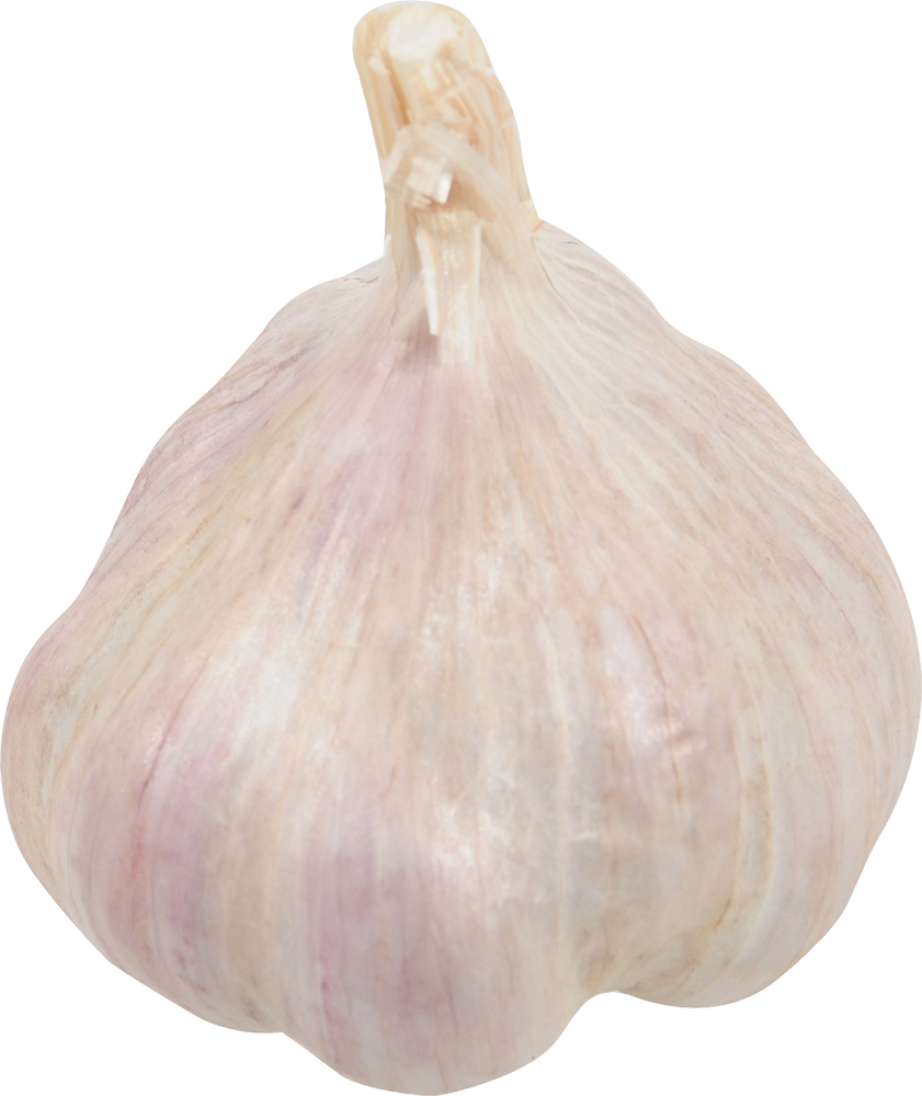slide 1 of 1, Garlic, 1 ct