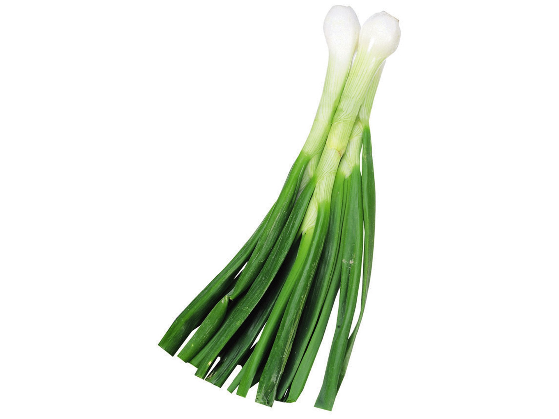 slide 1 of 1, Green Onions, 1 lb
