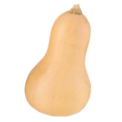 Butternut Squash