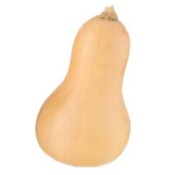 Butternut Squash
