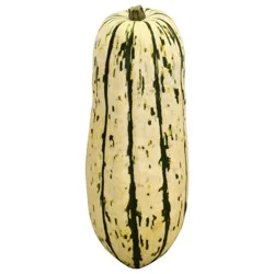 Produce Squash 1 ea