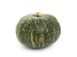Fresh Squash Kabocha