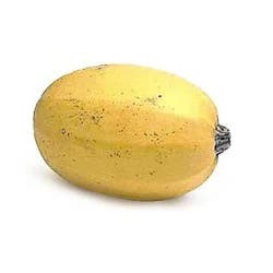 Spaghetti Squash 1 ea