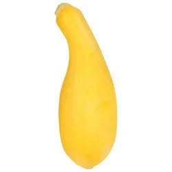 Squash Yellow