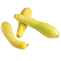 Yellow Squash