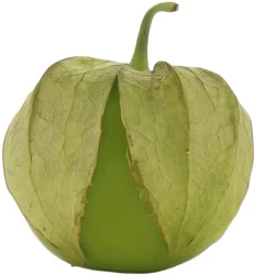 Tomatillo