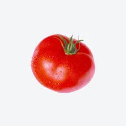 Extra Large Slicing Tomatoes