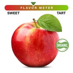 Organic Large Honeycrisp Apple - Each