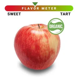 Organic Large Honeycrisp Apple - Each