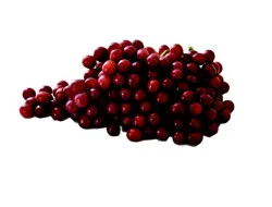 Fresh Organic Seedless Red Grapes