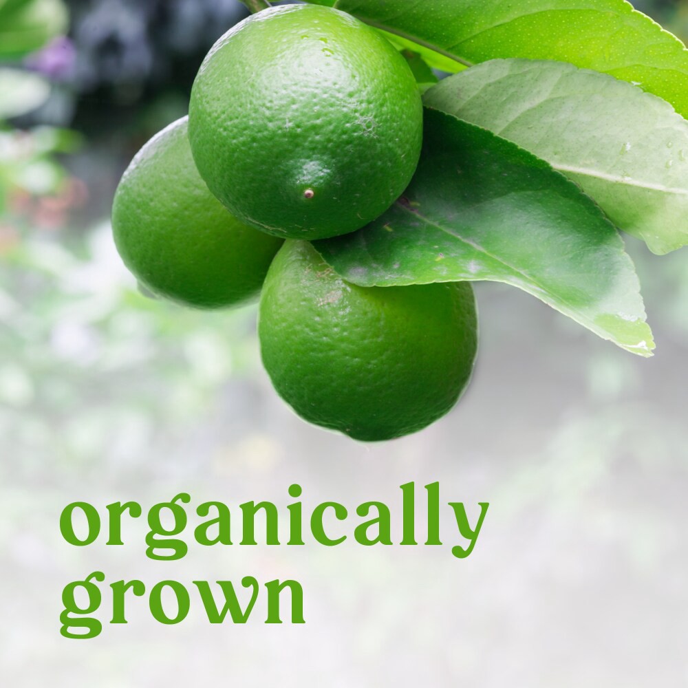 slide 4 of 4, Organic Limes, 1 ct