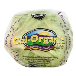 Produce Organic Iceberg Lettuce
