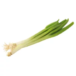 Organic Green Onions