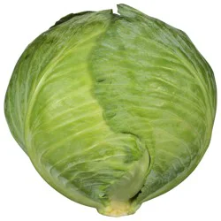 Organic Green Cabbage