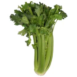 Organic Celery