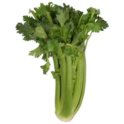 Organic Celery