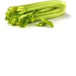 Organic Celery